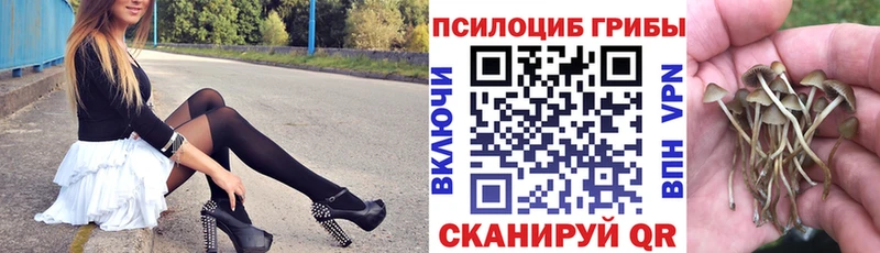 kraken рабочий сайт где найти наркотики Семёнов Галлюциногенные грибы мухоморы